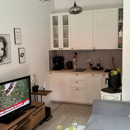 W Sosnowym Lesie Apartman *